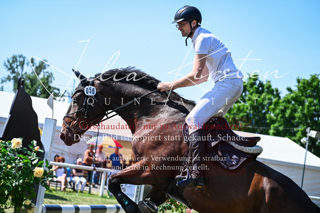 DSC_1235 | Pferde- und Turnierfotografie in Westsachsen. Pferdeportraits, Auftragszeichnungen und intuitive Kunst.