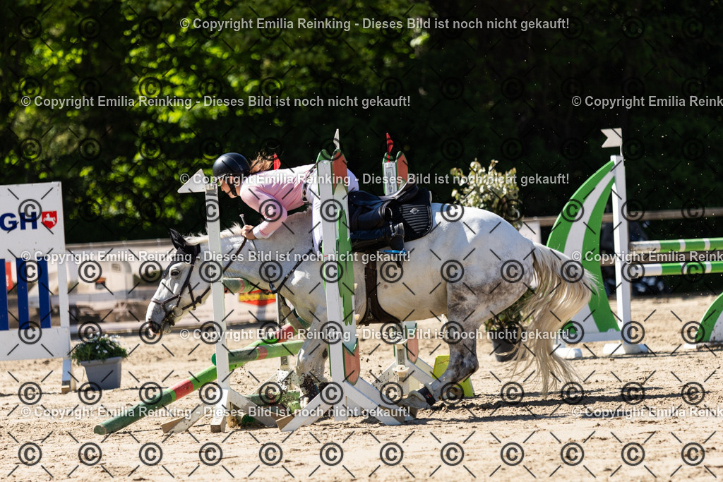 CL5A3045 | Emilia Reinking Fotografie - Realisiert mit Pictrs.com