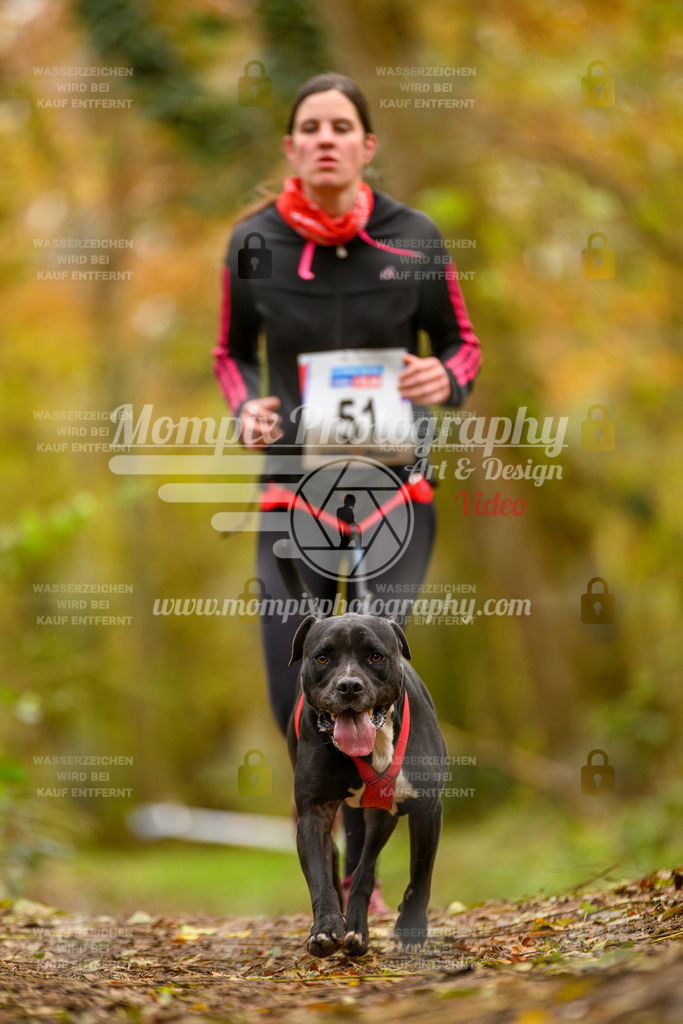 MompixPhotography_Bischwiller24_SA_Canicross-55 | PayLife