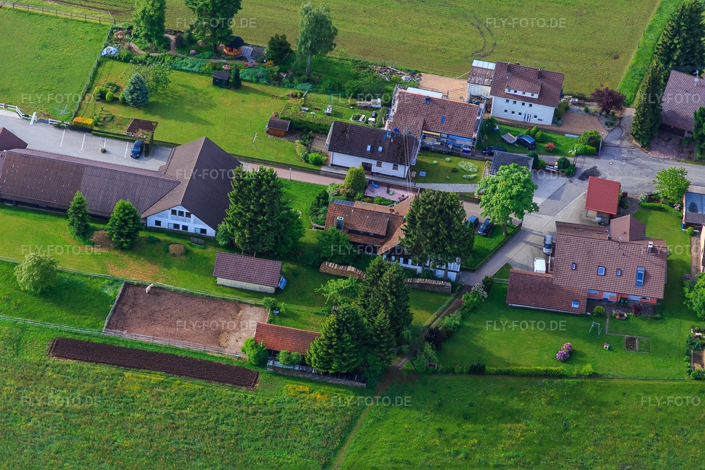 Luftbild: Gestüt Dobel in Dobel im Bundesland Baden-Württemberg in Deutschland. – Foto: IMG_079822.jpg vom 31.05.2015 durch Werner Riehm/FLY-FOTO.de – Auflösung des Originals: 5472 x 3648 px – Gestüt Dobel - Heimatgestüt von Olympiasiegern & Weltmeistern