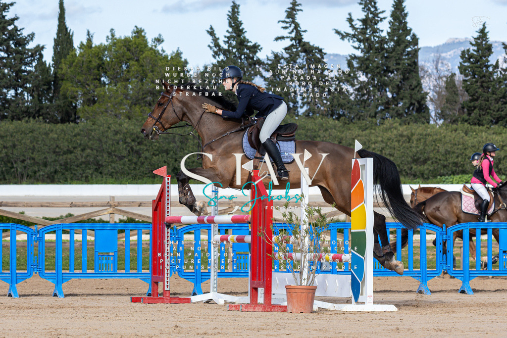 IMG_7934 | s-jay-photography - Realisiert mit Pictrs.com