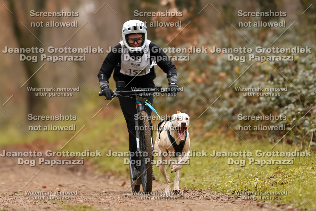 Dog Paparazzi - Speedhunter Mannheim  2025-422 | Dog Paparazzi Jeanette Grottendiek Fotografie & Videografie