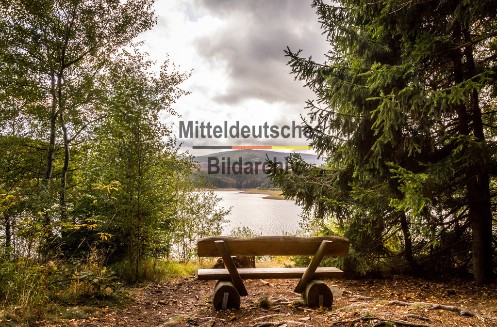 innerdeutsche Grenze Grünes Band Brocken Ilsenburg Eckerntal-0115 | Die innerdeutsche deutsch-deutsche Grenze, das Grüne Band - Realisiert mit Pictrs.com