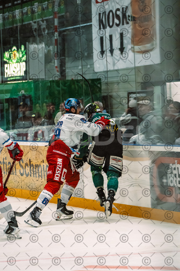 Alligators_vs_Selb_13_09_2026-15 | Die Fotogalerie von Daddel: professionelle Bilder von Sport, Events und Unternehmen aus Franken. Jetzt Galerien durchstöbern und Lieblingsfotos bestellen. - Realisiert mit Pictrs.com