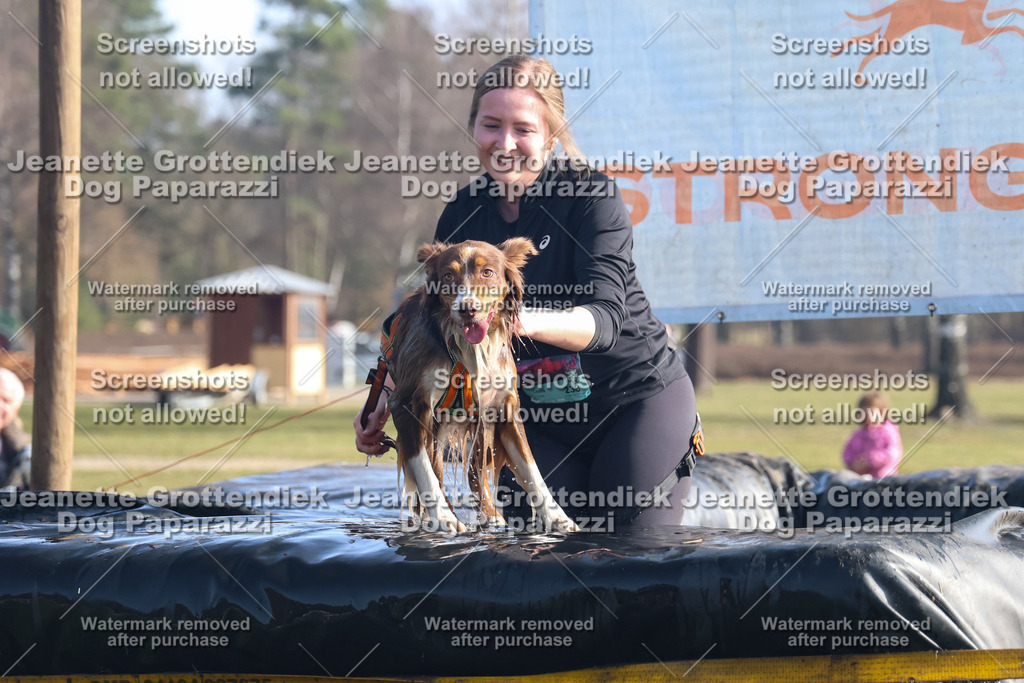 Dog Paparazzi - Strongdog North Mrz26-1185 | Dog Paparazzi Jeanette Grottendiek Fotografie & Videografie - Realisiert mit Pictrs.com