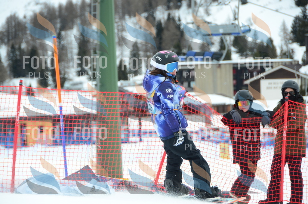 DSC_2318 | holidayphoto