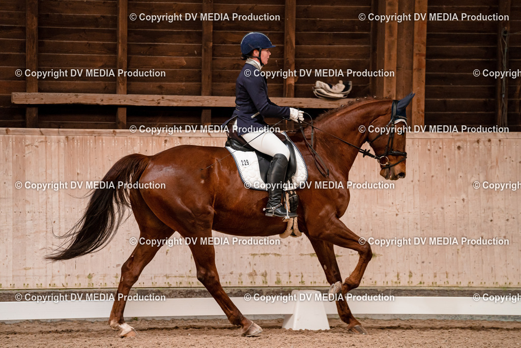 Dressur Tag 2-254 | dv-media-shop - Realisiert mit Pictrs.com