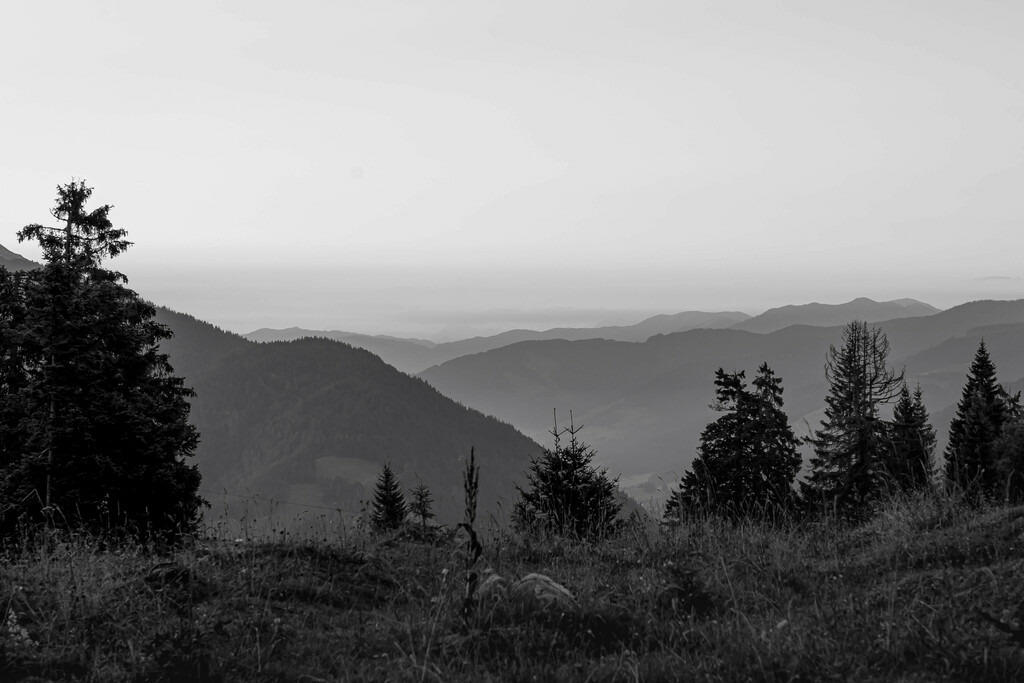 _W5A1571 | Sich an die einzigartigen Momente der Natur und Landschaft sowie die Begegnung mit heimischen wilden Tieren zu erinnern, dies kann man anhand den Bilder der Natur und Landschaftsfotografin Sandra Eimermacher.  - Realisiert mit Pictrs.com