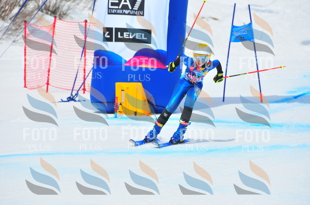 DSC_6351 | holidayphoto