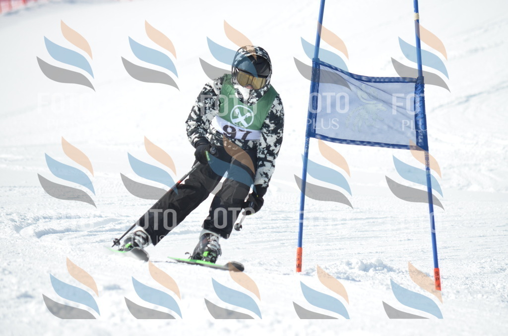 D9101 | holidayphoto