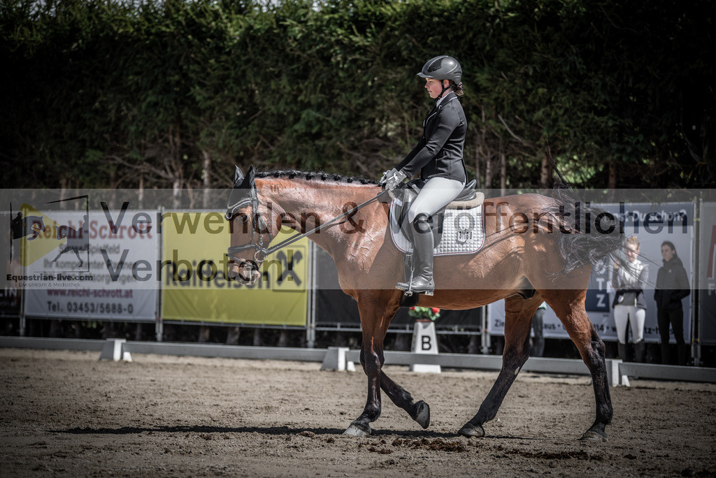 DSC_0547 | equestrian-live-com