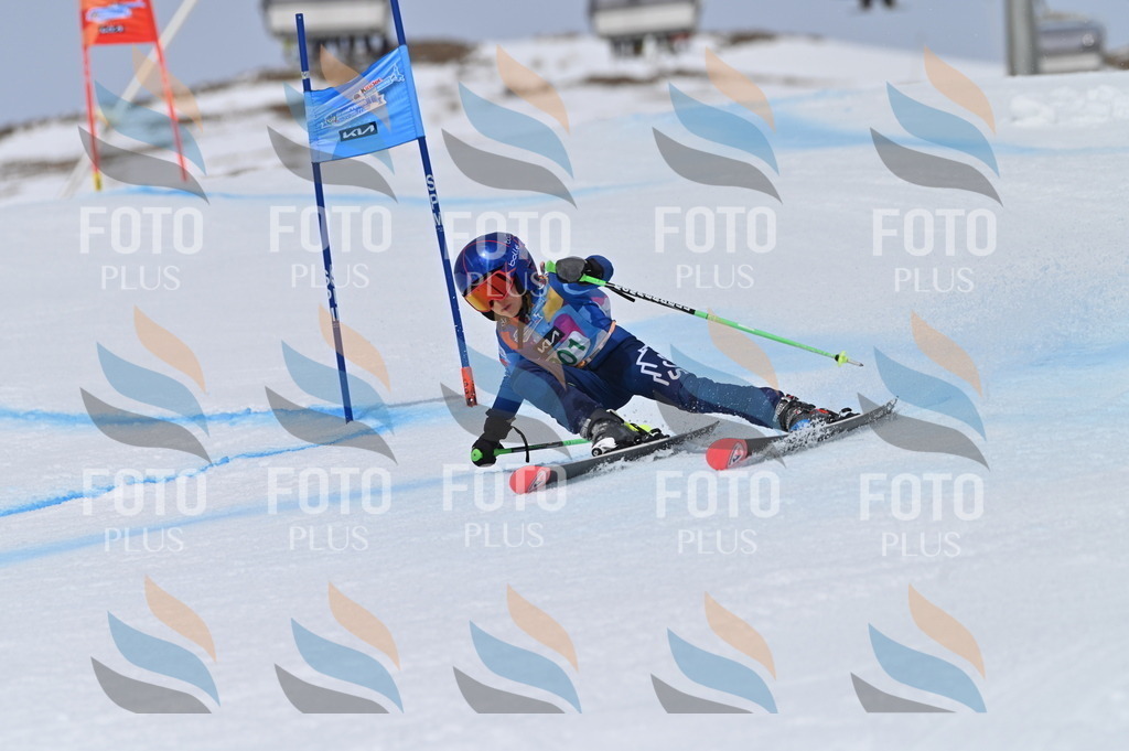 BGV_3875 | holidayphoto