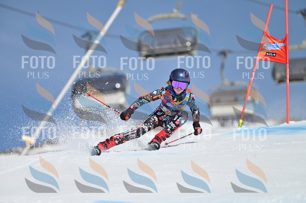 BGV_8955 | holidayphoto