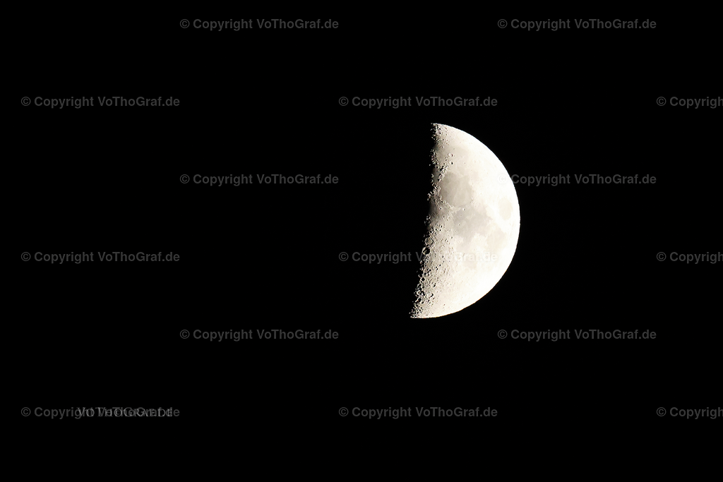 2022-10-02-0242_-_PNG_Facebook | Portrait, Fotograf, Berlin, Umkreis, Region, Menschen, Studio, Tierfotografie, Kopfkino, Studiofotografie, Outdoor, Homestory, Katzen, Hund, Hunde, Katze, Gravurarbeiten, kreativ, - Realisiert mit Pictrs.com