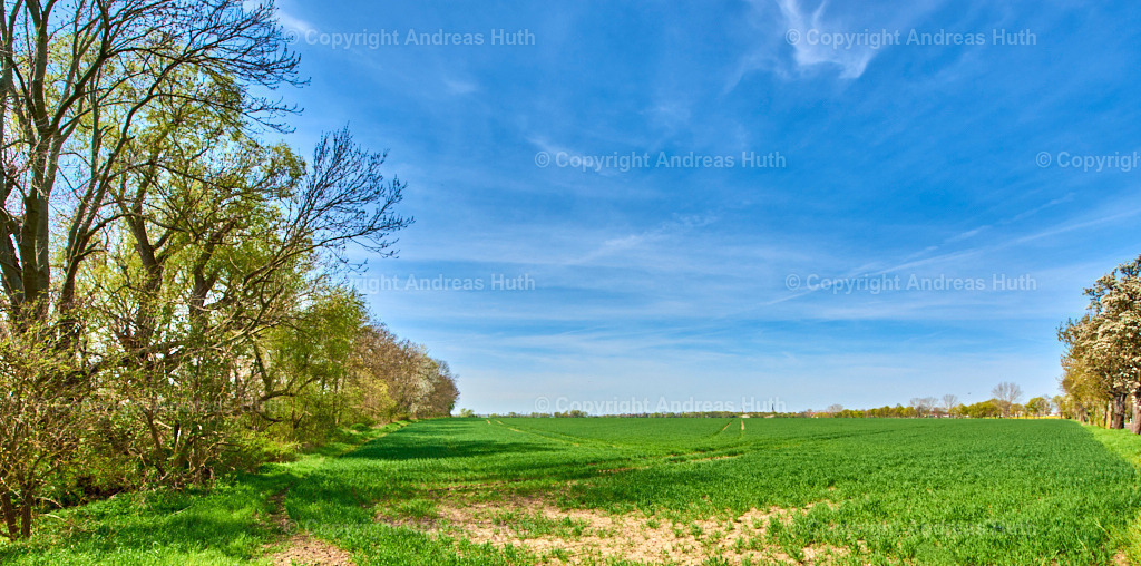 Am Elsterfloßgraben zwischen Lützen und Meuchen 05 | Bedeutsame Landschaften Deutschlands - Realisiert mit Pictrs.com