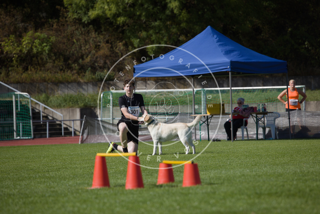 0L8A7788 | Hundefotografie, Tierfotograf, Pfotenfotografie, Fotoshooting Hund, Hunde Portrait, Hundesport, Hundeportraits, Heideshooting, Hunde, Sportfotograf, Hundefotograf, Turnierhundsport, THS,  - Realisiert mit Pictrs.com