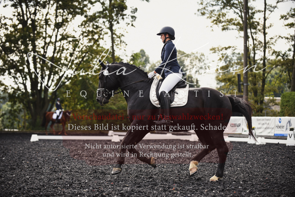 DSC_3759 | Pferde- und Turnierfotografie in Westsachsen. Pferdeportraits, Auftragszeichnungen und intuitive Kunst.