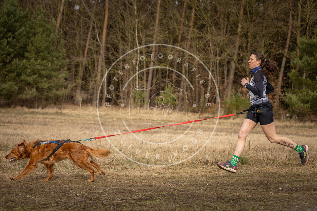 DV3A4108 | Hundefotografie, Tierfotograf, Pfotenfotografie, Fotoshooting Hund, Hunde Portrait, Hundesport, Hundeportraits, Heideshooting, Hunde, Sportfotograf, Hundefotograf, Turnierhundsport, THS,  - Realisiert mit Pictrs.com
