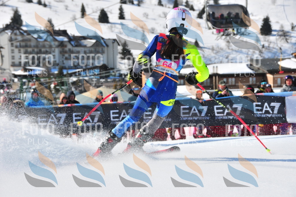 DSC_4235 | holidayphoto