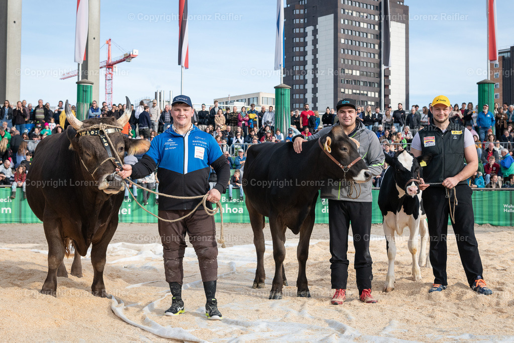 Schwingen -  12. OLMA-Schwinget 2024 | St.Gallen, 20.10.24, Schwingen - 12. OLMA-Schwinget.