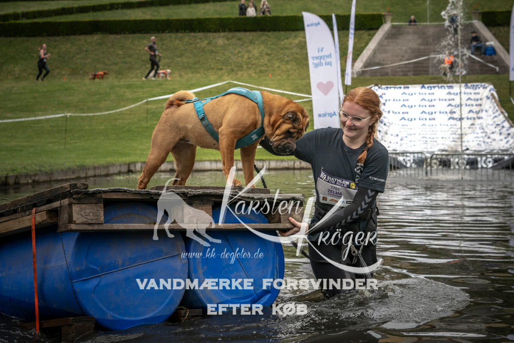 1102_ZZ95888 | kk-dogfotos