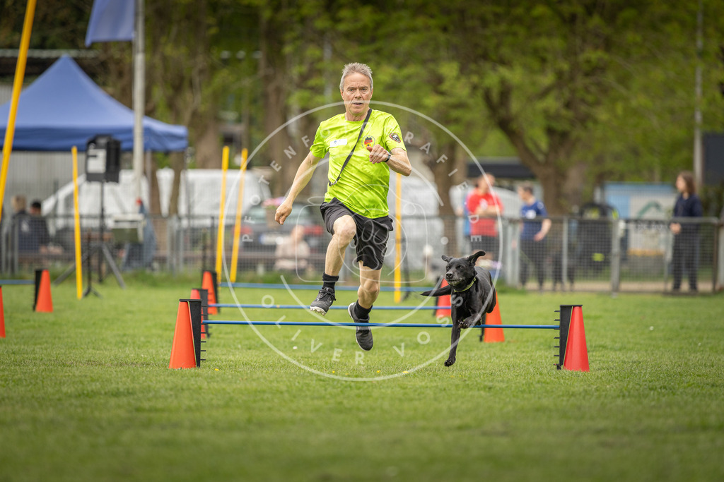 Pfotenfotografie_DV3A8486 | Hundefotografie, Tierfotograf, Pfotenfotografie, Fotoshooting Hund, Hunde Portrait, Hundesport, Hundeportraits, Heideshooting, Hunde, Sportfotograf, Hundefotograf, Turnierhundsport, THS,  - Realisiert mit Pictrs.com