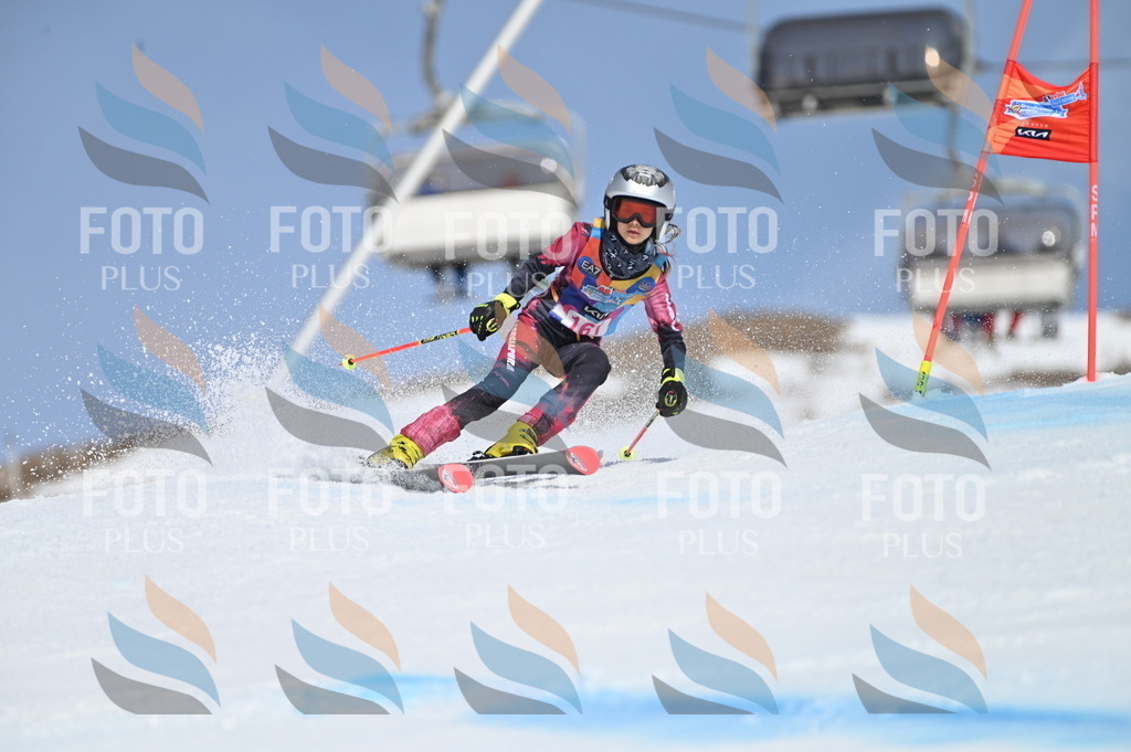 BGV_0262 | holidayphoto