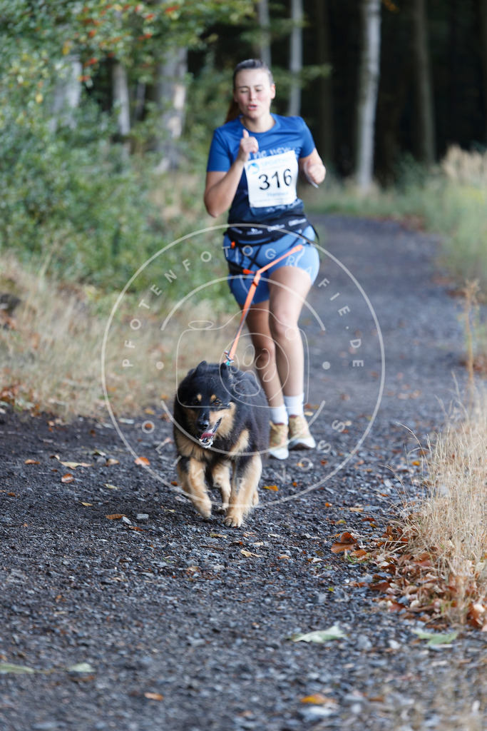 0L8A1740 | Hundefotografie, Tierfotograf, Pfotenfotografie, Fotoshooting Hund, Hunde Portrait, Hundesport, Hundeportraits, Heideshooting, Hunde, Sportfotograf, Hundefotograf, Turnierhundsport, THS,  - Realisiert mit Pictrs.com
