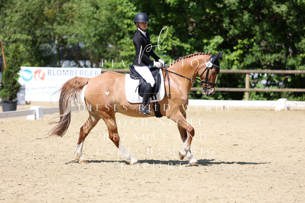 IMGS3999 | pl-fotografie