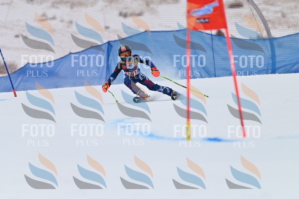 BGV_1481 | holidayphoto