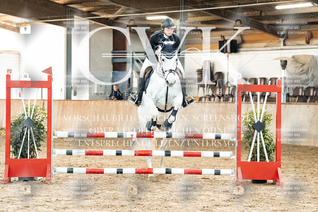 CK904486 | Turnierfotografie Pferdefotografie Trier Rheinland-Pfalz Pferdesport Reitsport Tierfotografie Sportfotografie Pferdevideo Pferdevideografie Equestrianvideography equestrianphotography  - Realized with Pictrs.com