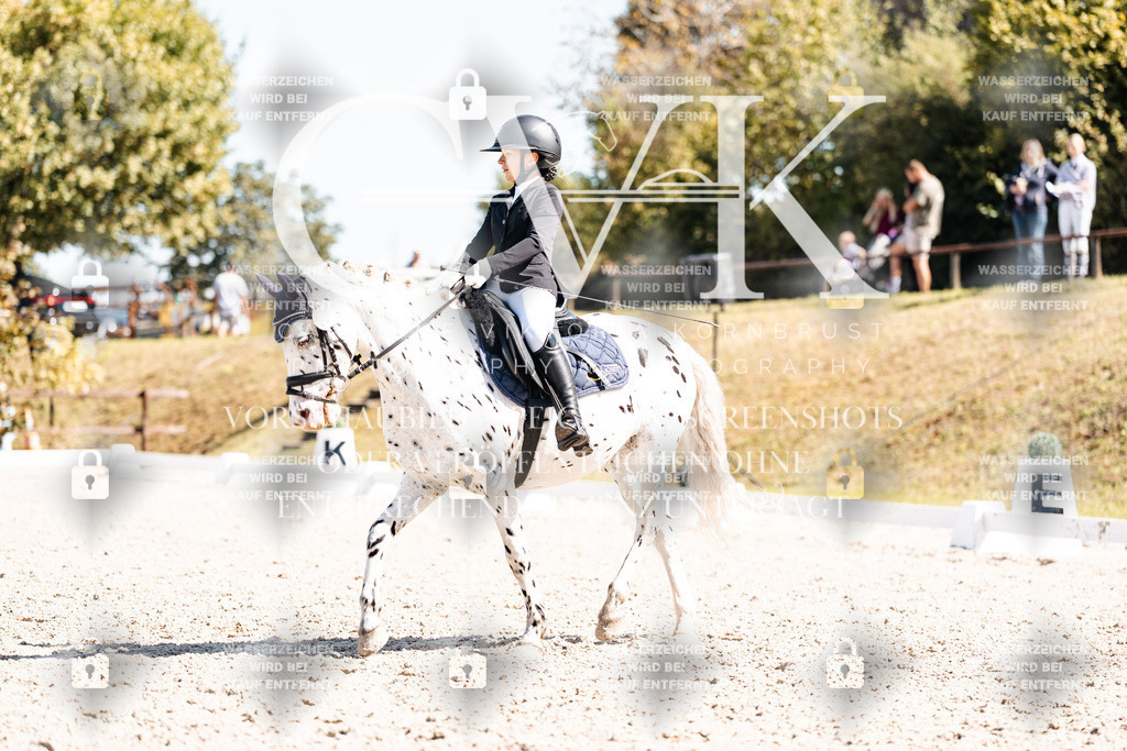 CK904186 | Turnierfotografie Pferdefotografie Trier Rheinland-Pfalz Pferdesport Reitsport Tierfotografie Sportfotografie Pferdevideo Pferdevideografie Equestrianvideography equestrianphotography  - Realisiert mit Pictrs.com