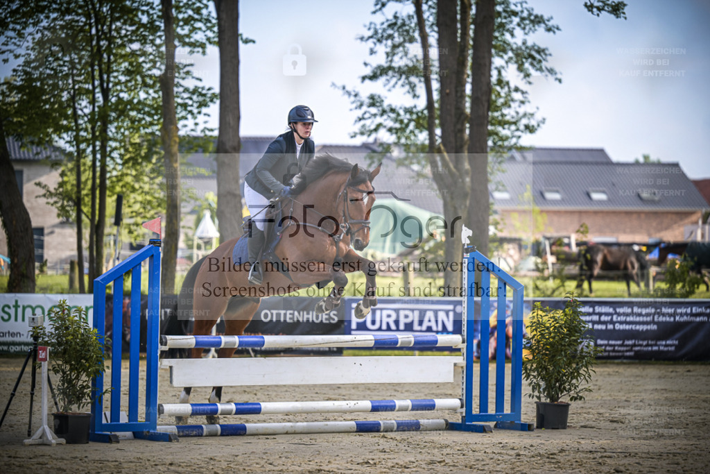DOS_3836 | Entdecke hochwertige Reitturnierfotos von Foto Oger. Professionell, emotional und authentisch – jetzt Lieblingsmomente im Shop bestellen. - Realisiert mit Pictrs.com