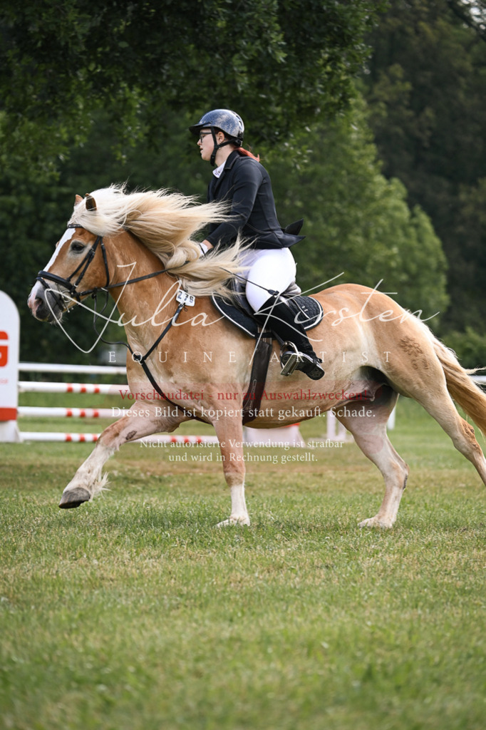 DSC_9055 | Pferde- und Turnierfotografie in Westsachsen. Pferdeportraits, Auftragszeichnungen und intuitive Kunst.