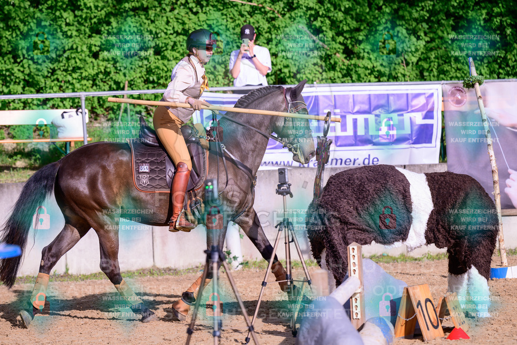 02052026-Giesenbach-03-Speedtrail-0170 | Fokus Hufschlag Fotografie - Realisiert mit Pictrs.com