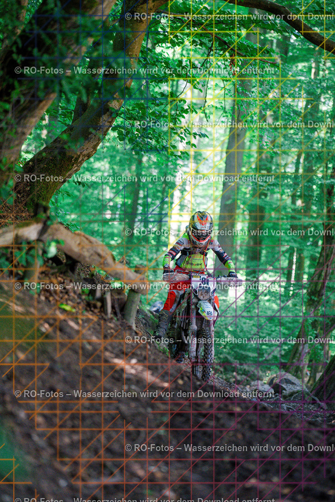 5 Lauf Schlüchtern IGE 2026-241 | Sportfotografie von RO-Fotos: Motorsport, Motocross, Enduro, Laufveranstaltungen und Triathlon. Professionelle Fotos von Sportlern und Events. - Realisiert mit Pictrs.com