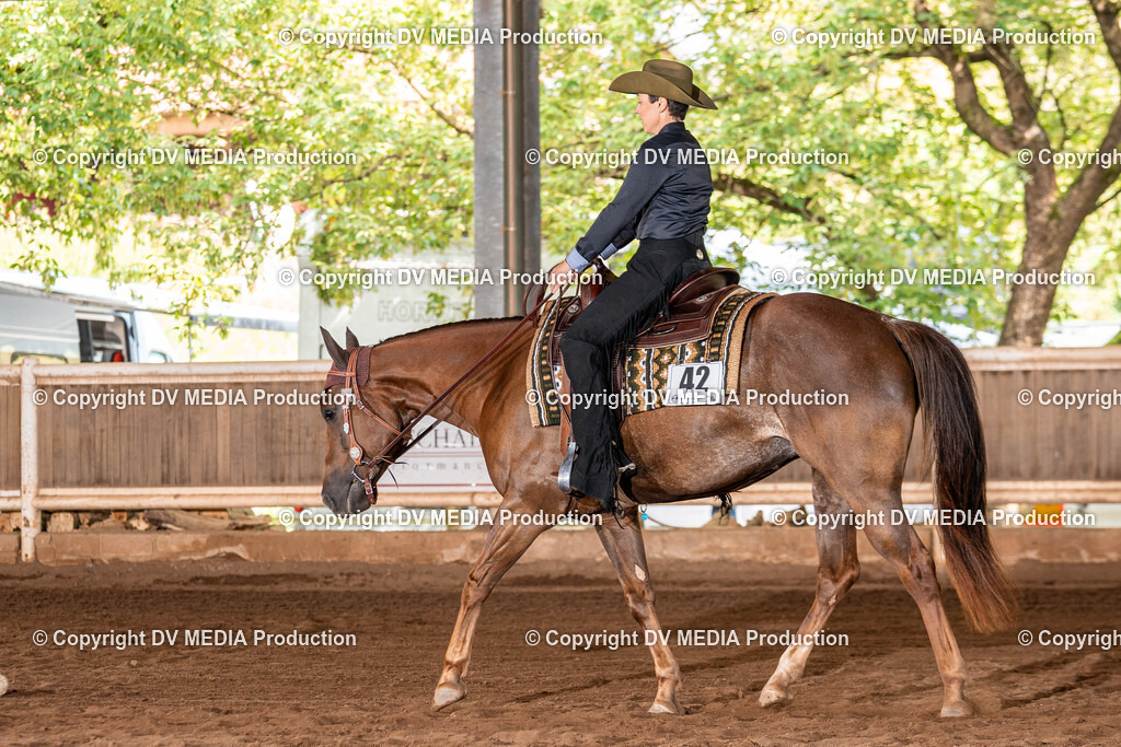 Erbach Tag 2-392 | dv-media-shop - Realisiert mit Pictrs.com