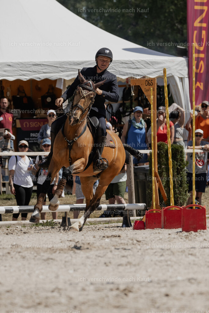 WE_SP_Stoib_311_PI2025_1666 | Pferd International München 2025