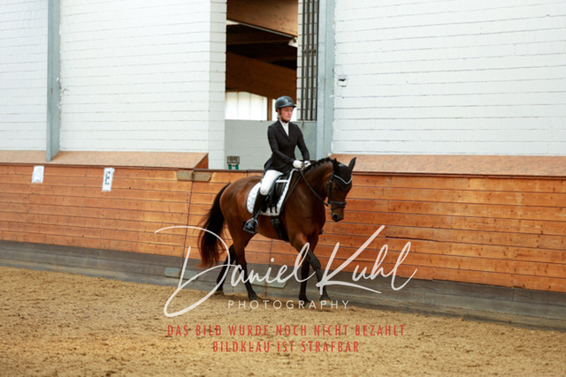 _62_4722 | Turniersportfotografie; Pferdefotografie; Dressurfotografie