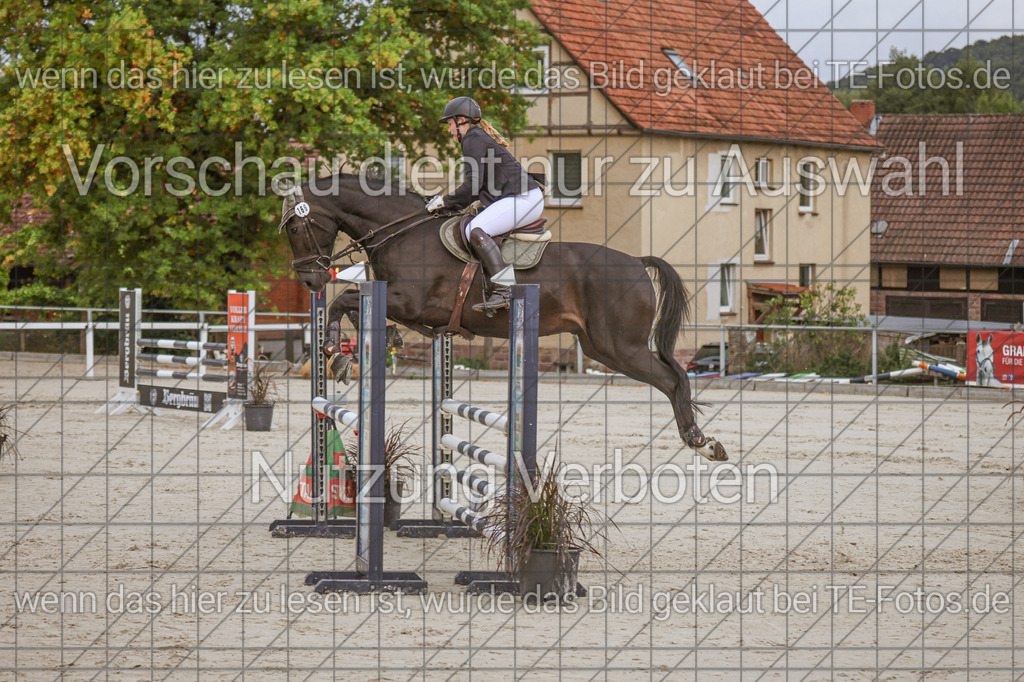 2025-09-22_09-43-05_MG_4405 | TE-Fotos