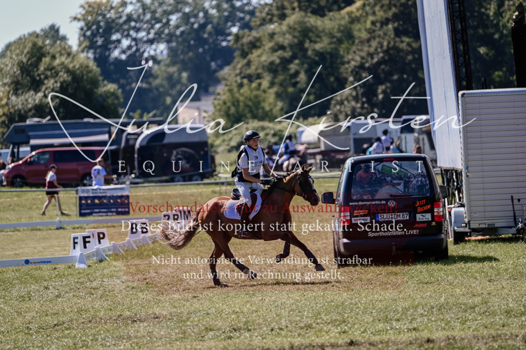 DSC_2087 | Pferde- und Turnierfotografie in Westsachsen. Pferdeportraits, Auftragszeichnungen und intuitive Kunst.