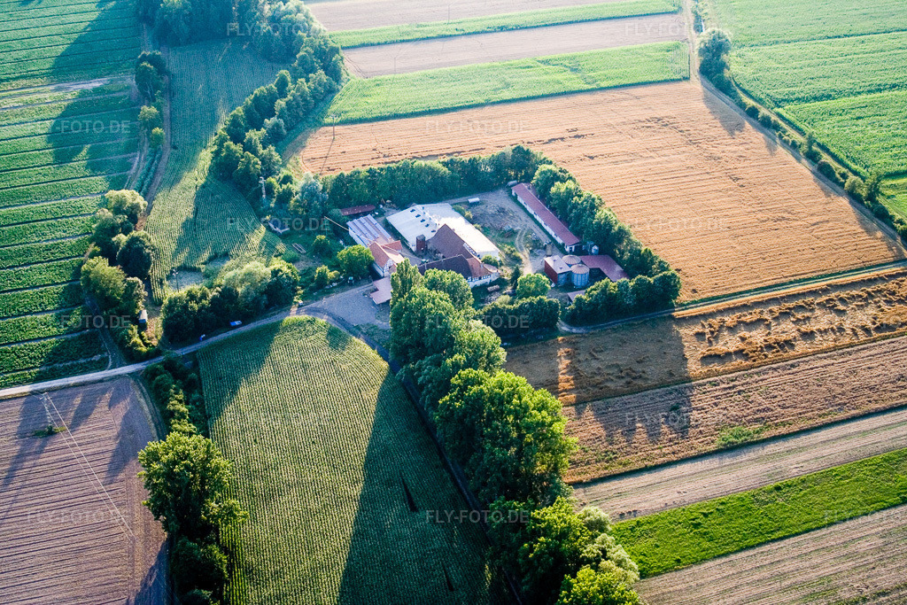 Luftbild: am Erlenbach, Leistenmühle in Kandel im Bundesland Rheinland-Pfalz in Deutschland. Foto: IMG_11785.jpg vom 25.07.2008 durch Werner Riehm/FLY-FOTO.de