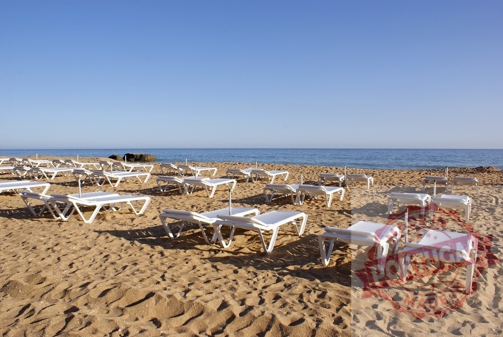 Empty lounge chairs waiting on a sandy beach | White chairs arranged on a calm sandy beach with the sea and blue sky - Realized with Pictrs.com