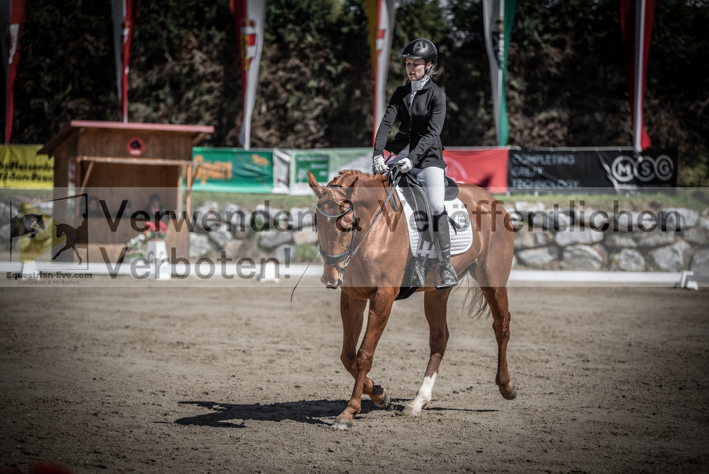 DSC_0092 | equestrian-live-com