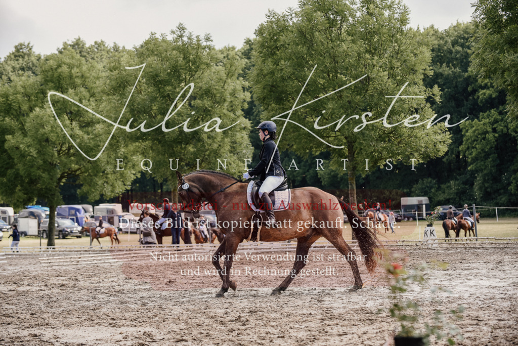 DSC_9271 | Pferde- und Turnierfotografie in Westsachsen. Pferdeportraits, Auftragszeichnungen und intuitive Kunst.