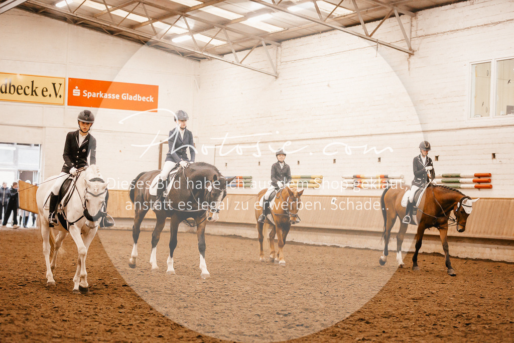 3I6A6440 | Stimmungsvolle Portraits und Reitsportfotografie im Ruhrgebiet und im Münsterland.

Pferdefotografie, Hundefotografie, Tierfotografie, Reportagen, Portraits von Tier und Mensch, Turnierfotografie in Bochum, Recklinghausen, Marl, Haltern am See, Dülmen.. - Realisiert mit Pictrs.com