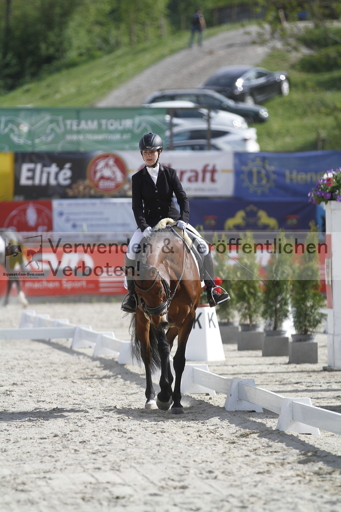 _MG_8479 | equestrian-live-com