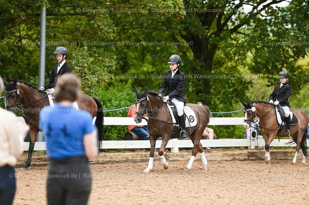 20230716_10-2_Reiter-WB Schritt - Trab - Galopp_0084 | equistock