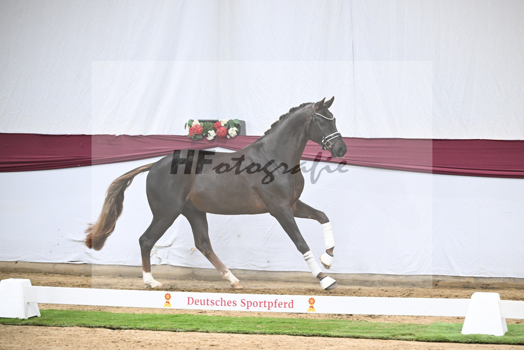 Kat-Nr. 126 Va Bene x Fuerst Jazz_Johannes Gaab_47254182 | hf-fotografie - Realisiert mit Pictrs.com