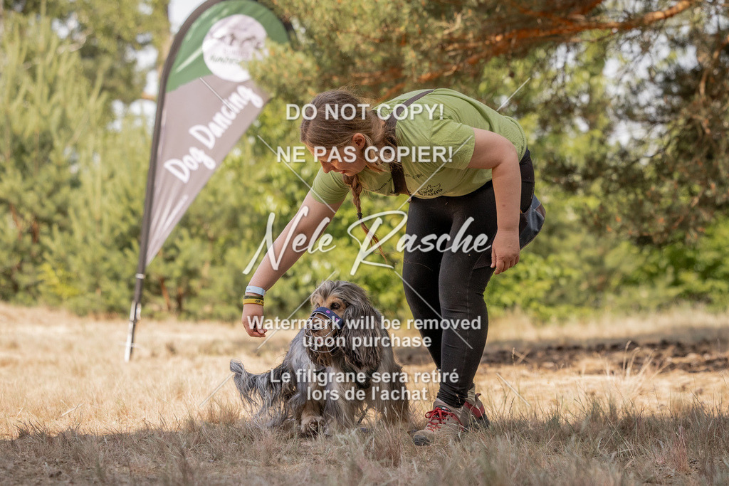 nelerasche_soDD2_348 | nelerasche
